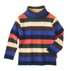 Border Turtle Neck Pullover
