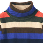 Border Turtle Neck Pullover